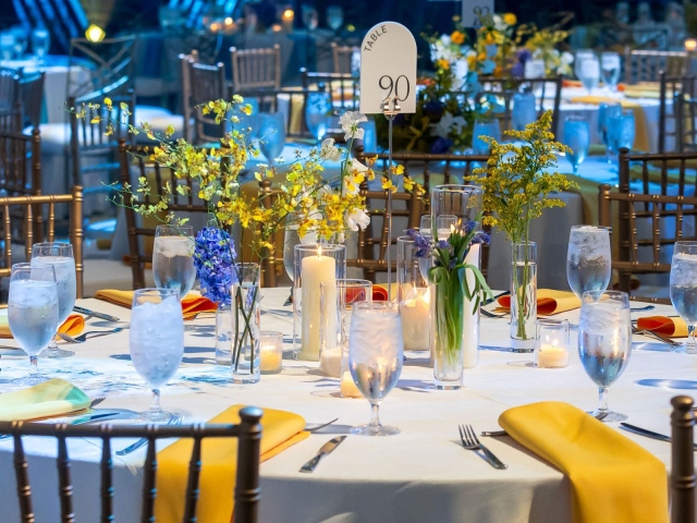 ballroom-bash-10