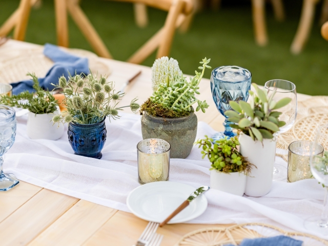 King table center piece with small plants with blue, white and gold accent pots.