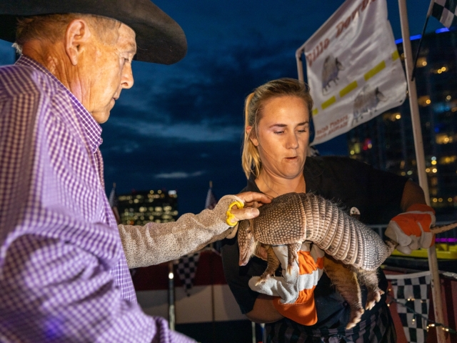 A woman petting an armadillo at an Austin event.