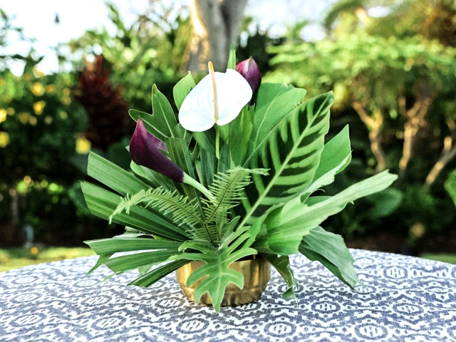 Tropical plant with white lily on table with blue and white tablecloth.