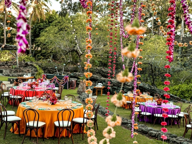 Leis hanging from trees at at Luau themed event in Hawaii