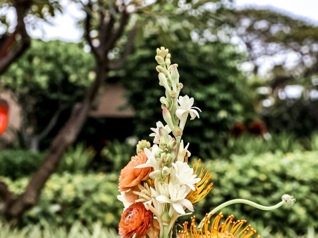 A centerpiece with Hawaiian flowers and stones in small white pot.