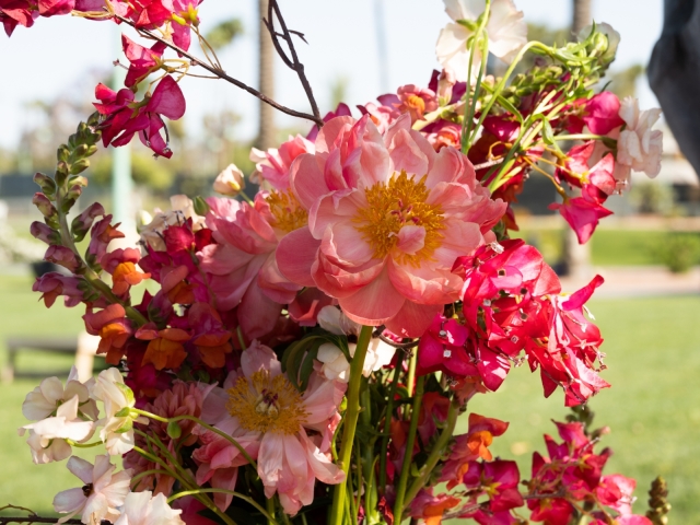 Floral arrangement on table with bright red and coral flowers.