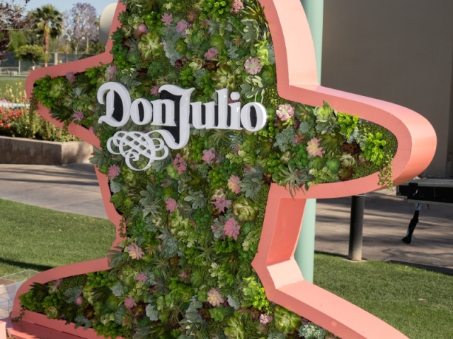 A Don Julio floral filled Cactus display.